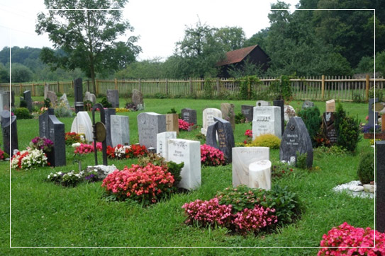 Welche Grabarten sind möglich auf dem Friedhof Pliezhausen, Walddorfhäslach, Kusterdingen, Altenriet?